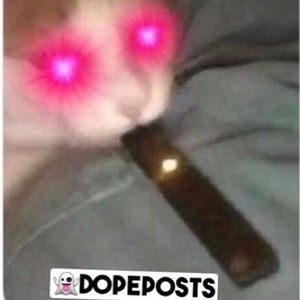 Meet your Posher, Cesar